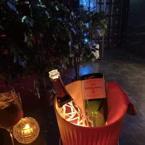 出勤しました！の写真1枚目