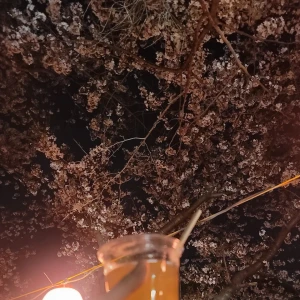 おはようございます☀️の写真1枚目