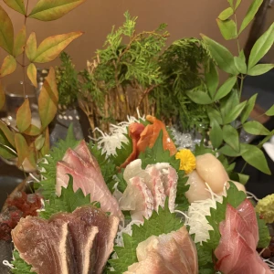 ましろ出勤🦖🐾の写真3枚目