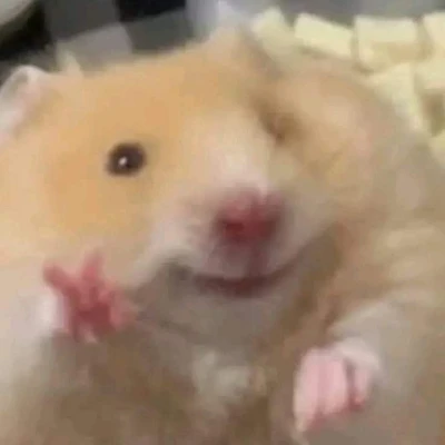 今日もいるにょ‪🐹✌️