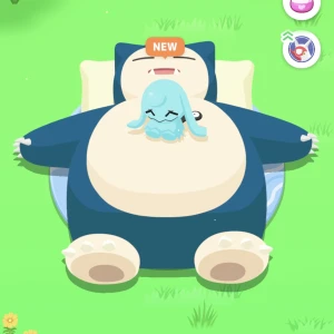 4/18の写真1枚目