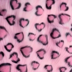 6.9の写真1枚目