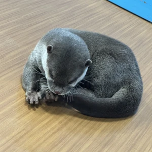 おはようございます😃の写真2枚目