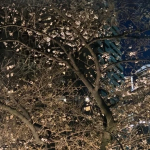 しゅっきーーん！の写真1枚目