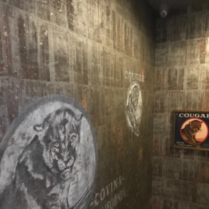 グランドオープン！の写真3枚目