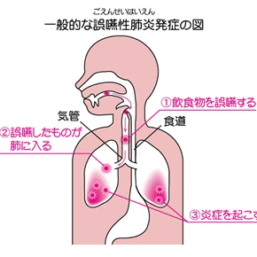 こんばんわ！の写真2枚目