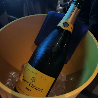昨日は酔いすぎた反省･-･꧞