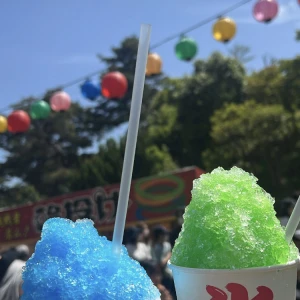こんばんは💟の写真1枚目