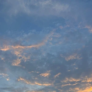 ᐕ)ﾉ 8.23①の写真1枚目