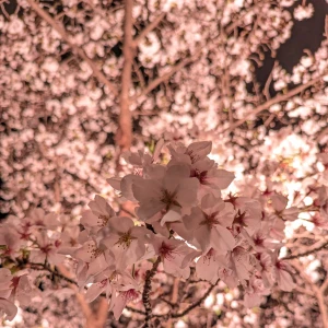 火曜日まで私のブログがなくてみんな可哀想なので、2つ目︎🌟の写真1枚目