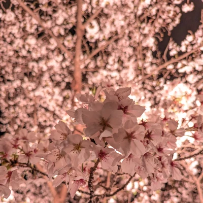 火曜日まで私のブログがなくてみんな可哀想なので、2つ目︎🌟