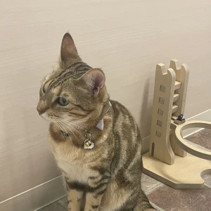 こんばんは🥂💫の写真1枚目