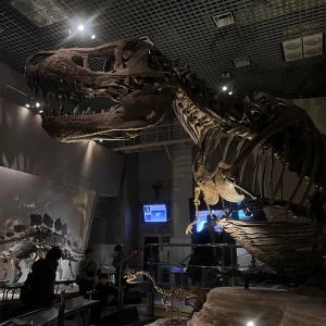 こんばんは🌟あいらですჱ̒^_ .̫ _^の写真1枚目