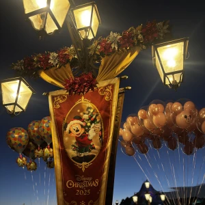 錦糸町ティファニーのあんずです！の写真1枚目