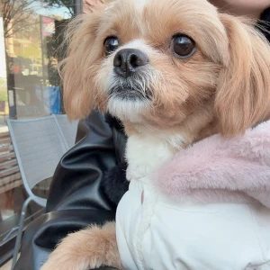 1205🤍の写真1枚目