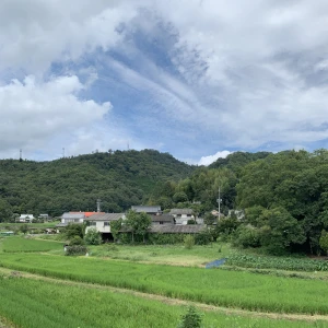 (●´ω｀●)の写真1枚目