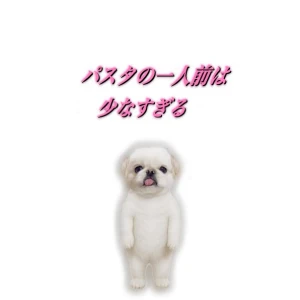 こんばんわんわんᐡ,,ò ·̫ ó,,ᐡの写真1枚目