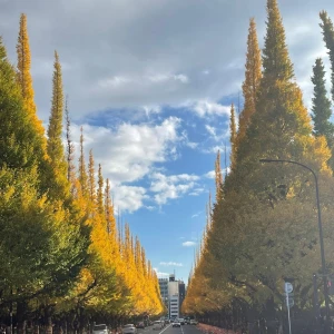 おはようございます☀の写真1枚目