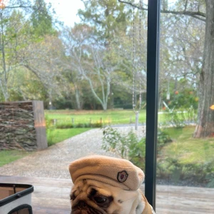 おはようございます☀️の写真1枚目