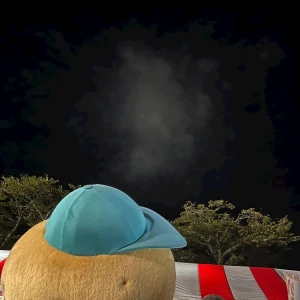 8/16③の写真1枚目