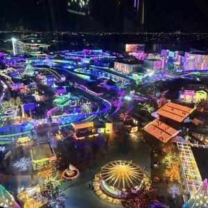 この前よみうりのイルミネーションの写真1枚目