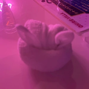 1019お礼✍🏻の写真1枚目