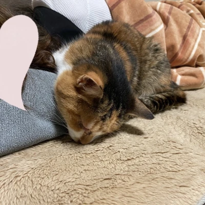 火曜日😍