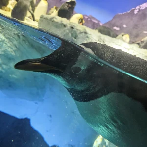 出勤してます！の写真1枚目