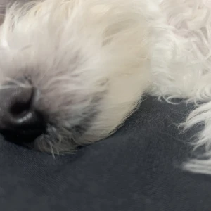 5/7の写真1枚目