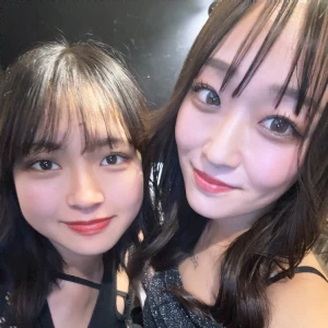 🛎️の写真1枚目