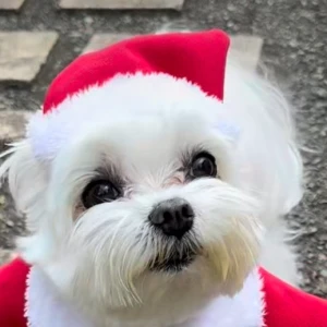 今日９時からいます✨の写真1枚目