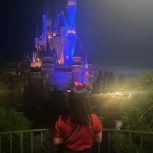 特技🐑の写真1枚目