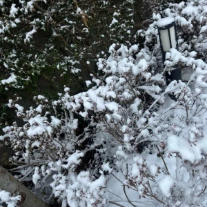 出勤✨の写真1枚目