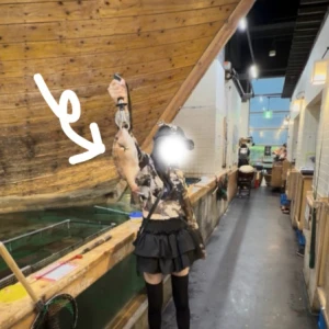 出勤します🐸の写真1枚目