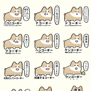 こんにちわんだふる！みゆですわん！の写真1枚目