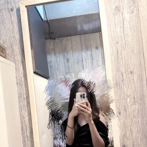 今日もいますよ〜⸜(*˙꒳˙*)⸝の写真1枚目