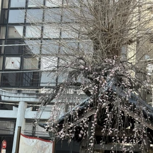 みんな〜レンだよ〜🪷🫧の写真1枚目