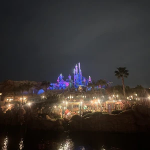 みなですの写真1枚目