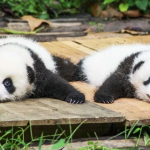 やほ！！の写真1枚目