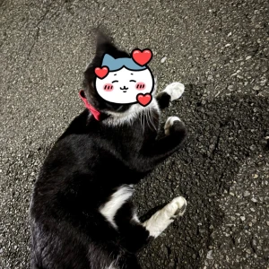10/6の写真1枚目