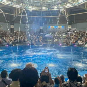 今日はおやすみなったーの写真1枚目