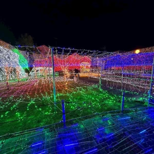 1/10の写真1枚目