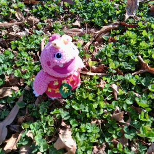 ‎🤍 あやです ‎🤍 今日います🙋‍♀️の写真1枚目