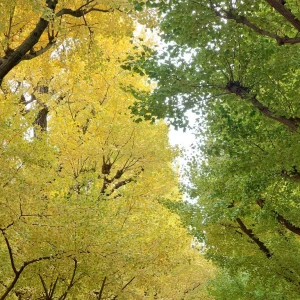 おはようございます！の写真1枚目