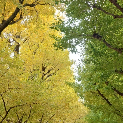 おはようございます！