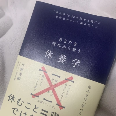 こんばんは、ぽちです🐾