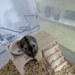 ㌨です！今日はメイドさん♪の写真1枚目