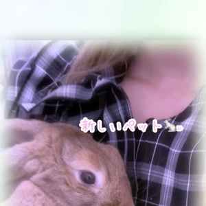 おはようございます(*^^*)の写真1枚目