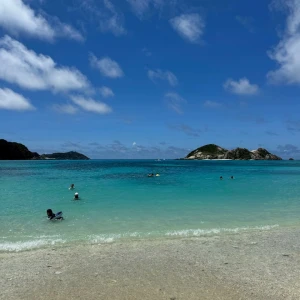 🏝️の写真1枚目