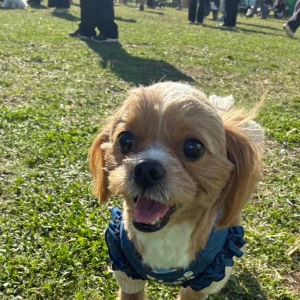 1125💓の写真1枚目